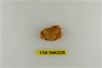 藏品(平背蜞)的圖片